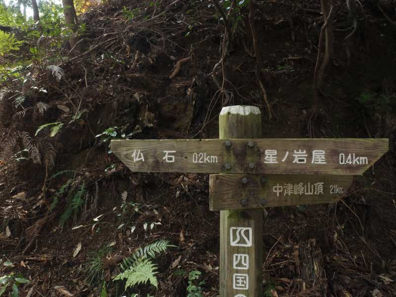 P4032089 P4032089