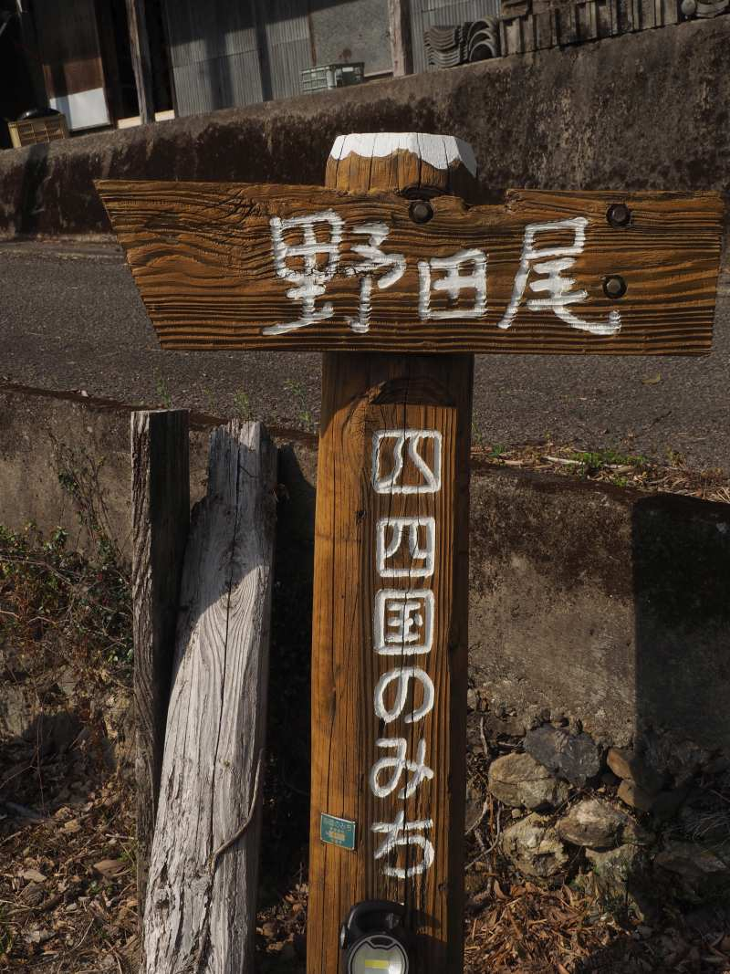P4032142 P4032142