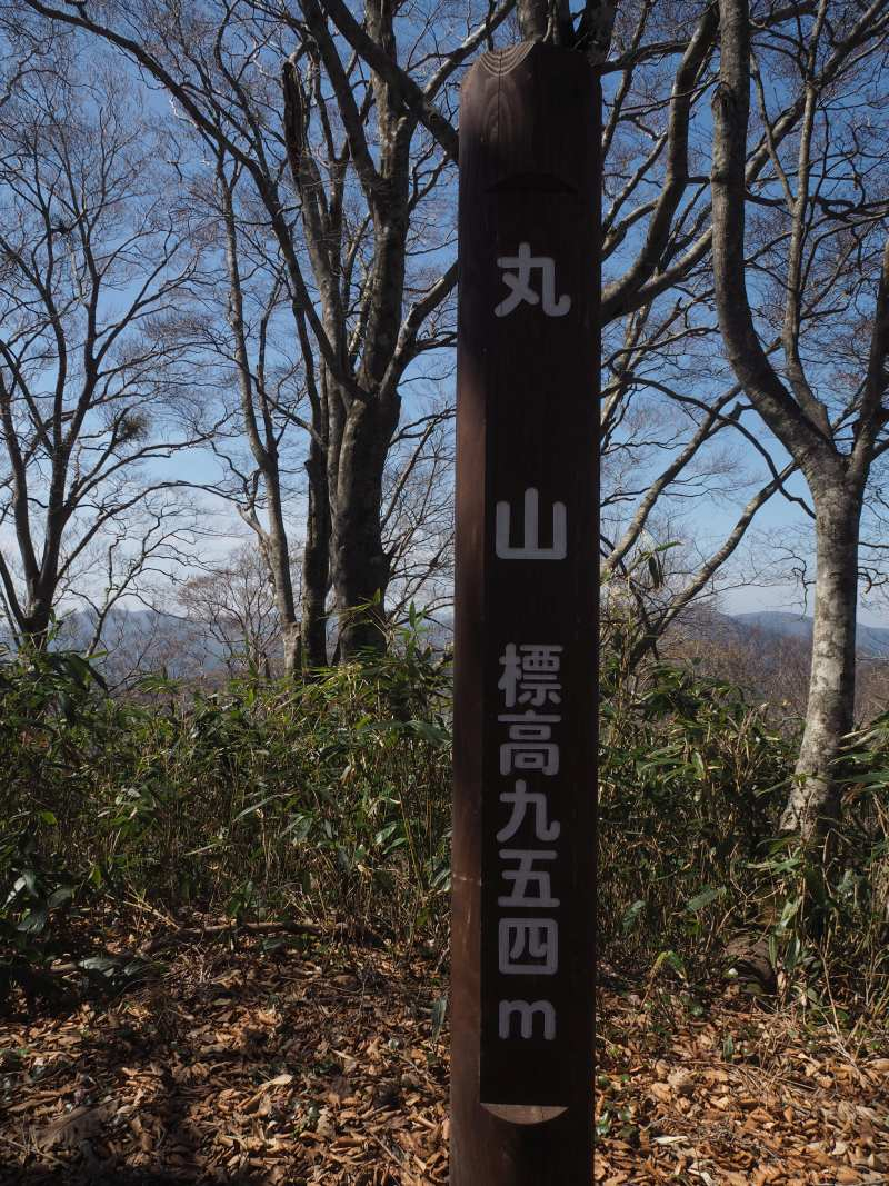 P4122611