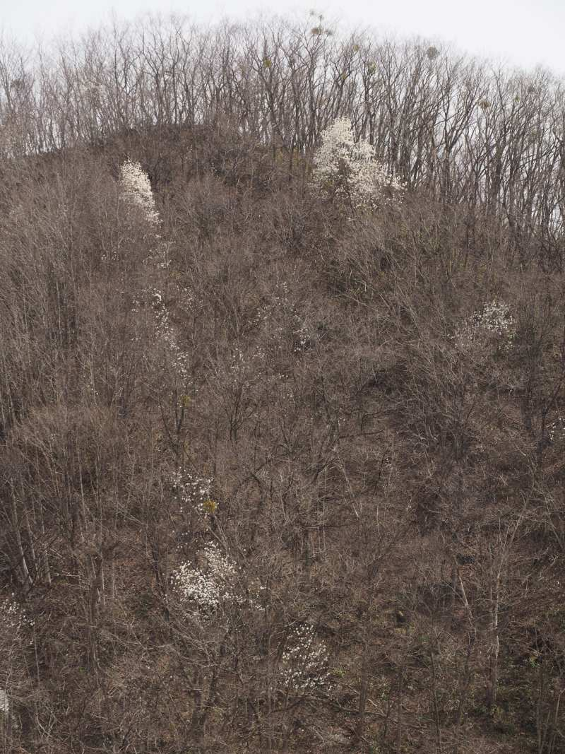 P4122764