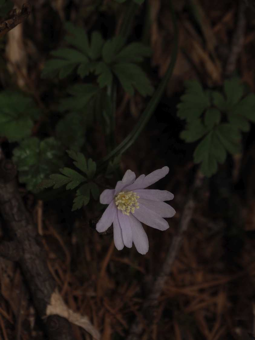 P4122792