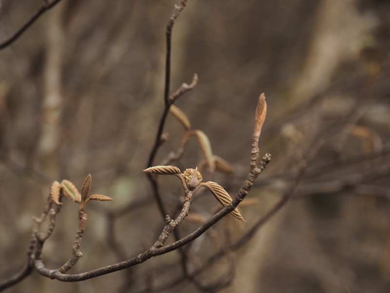 P4122795