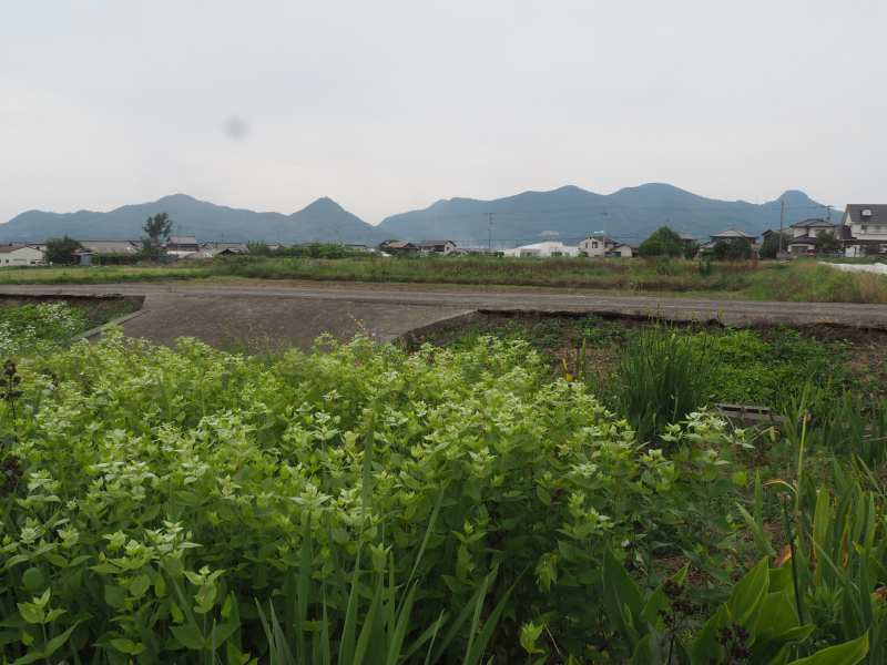 P6146789
