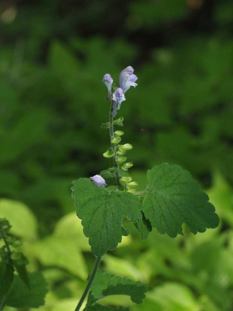 P6106537
