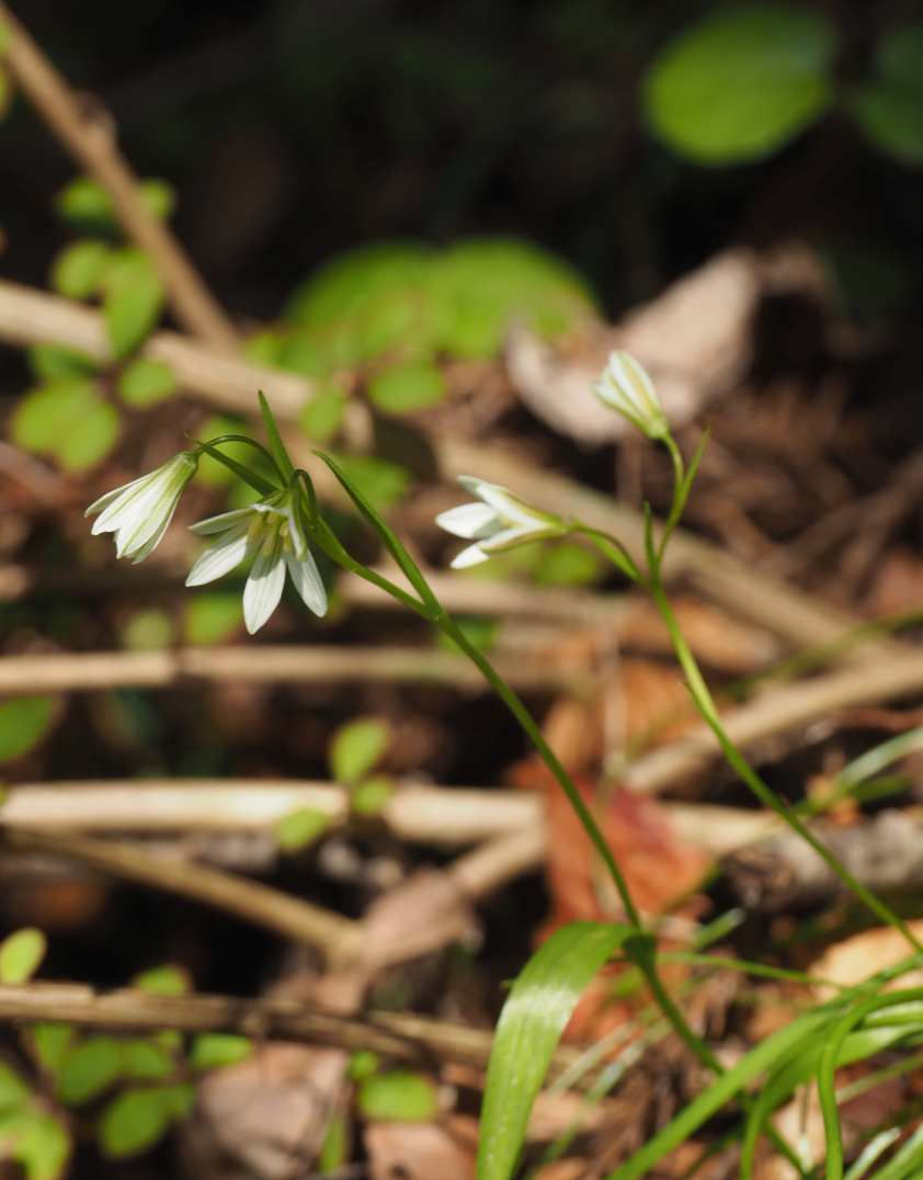 P4163029