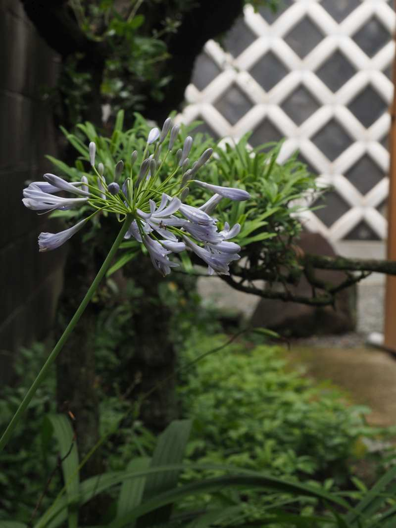 P6237001