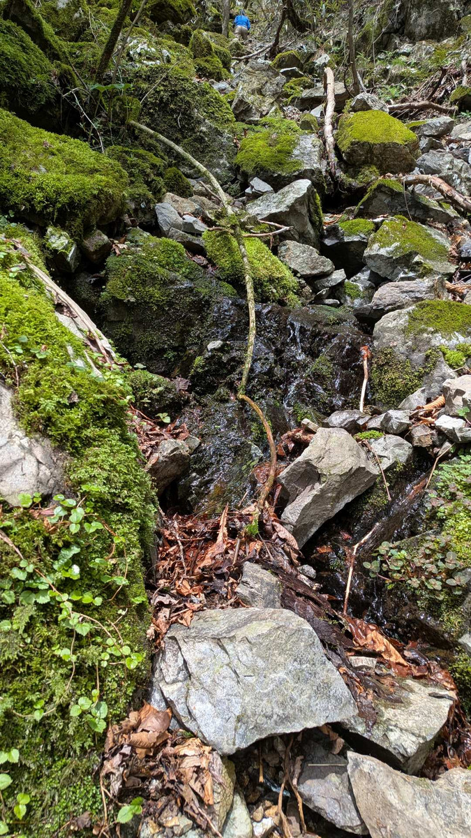 Pxl_20260421_015832175gennryuutennh