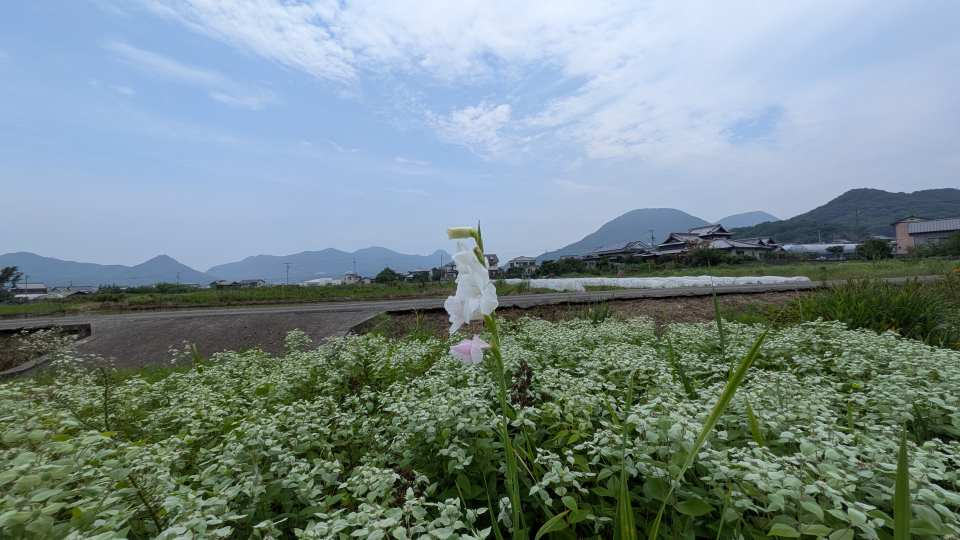 Pxl_20260630_022827502mp