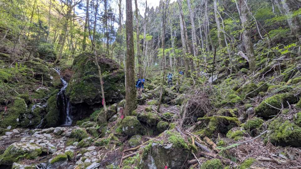Pxl_20260421_063610583