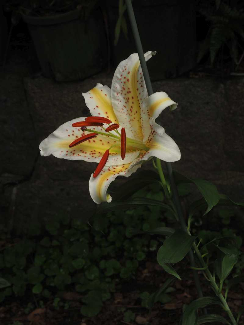 P6307331