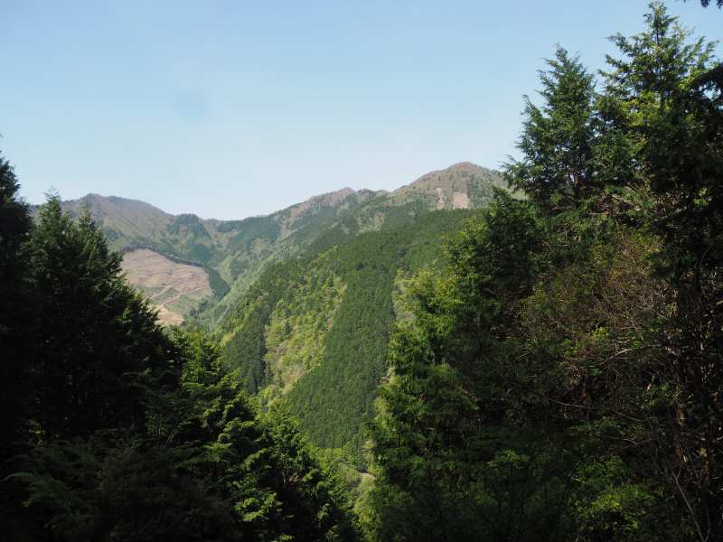 P5024216 P5024216