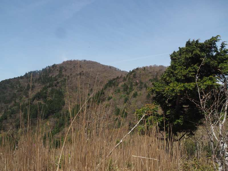 P5024283 P5024283