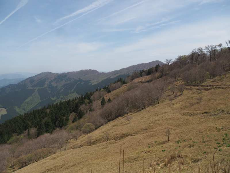 P5024333