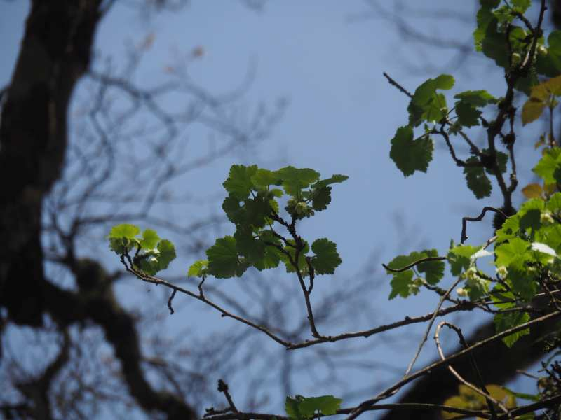 P5024340