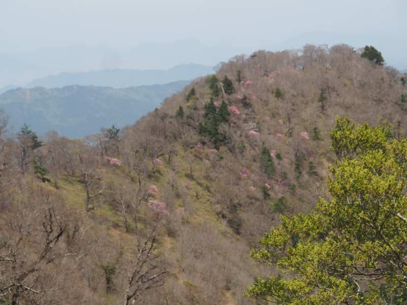 P5024343
