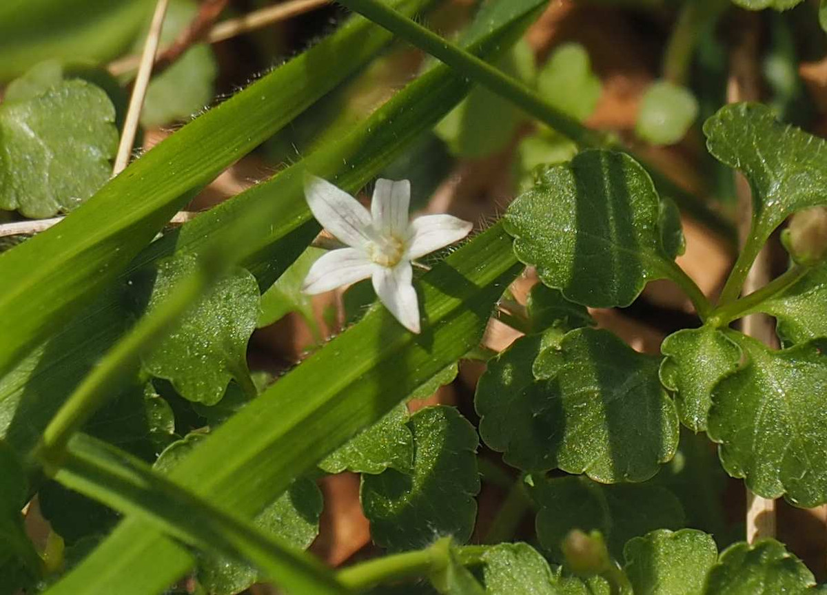 P5024348