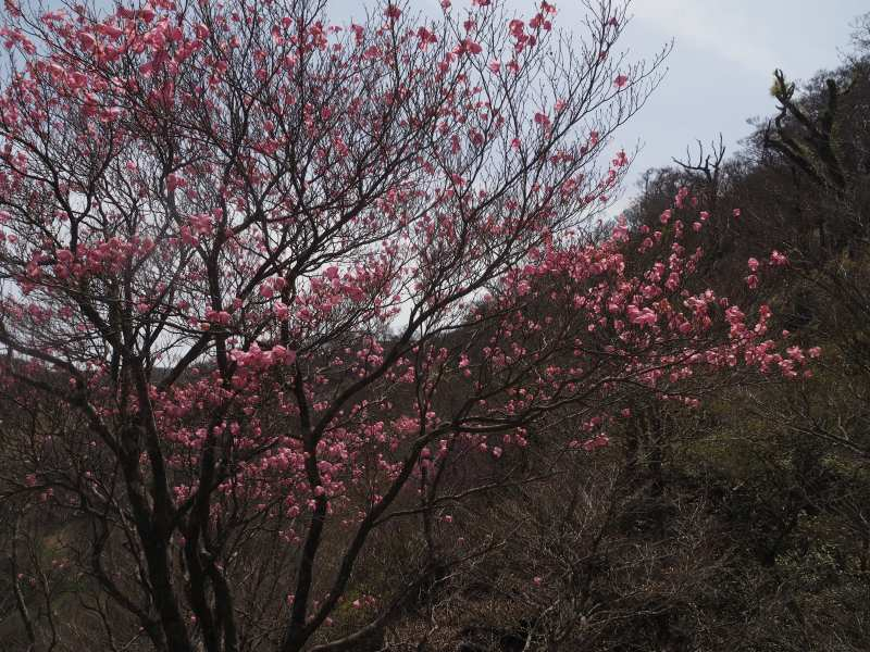 P5024358