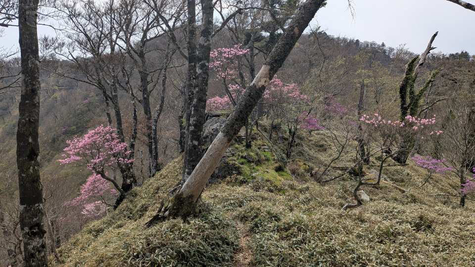 Pxl_20260502_042359725