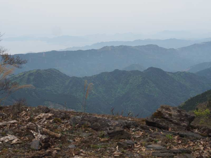 P5024432