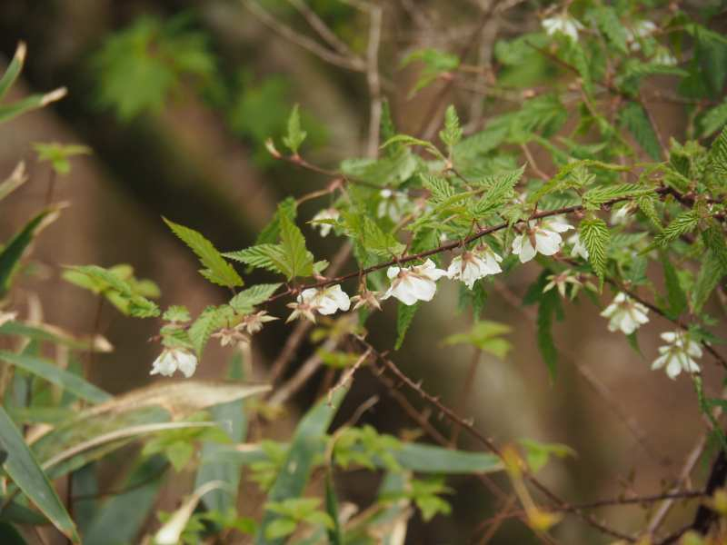 P5024460