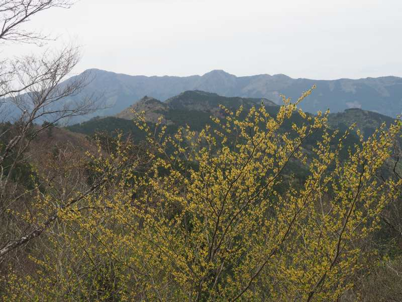 P5024466