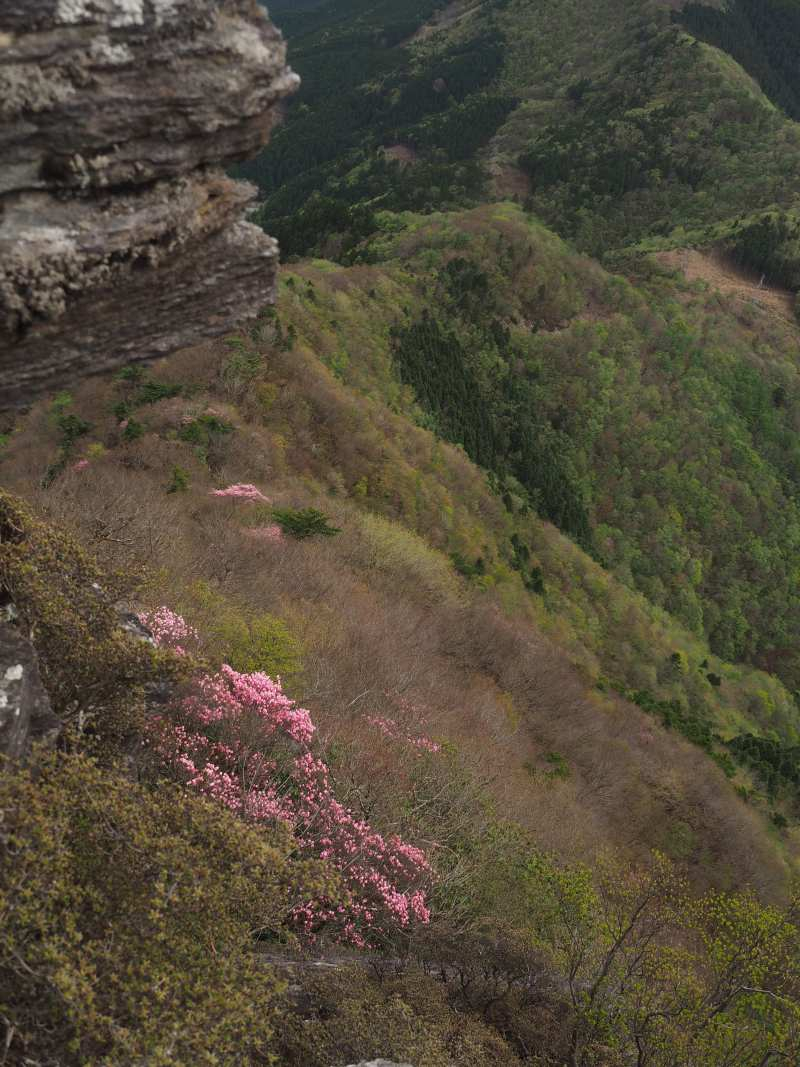P5024486 P5024486