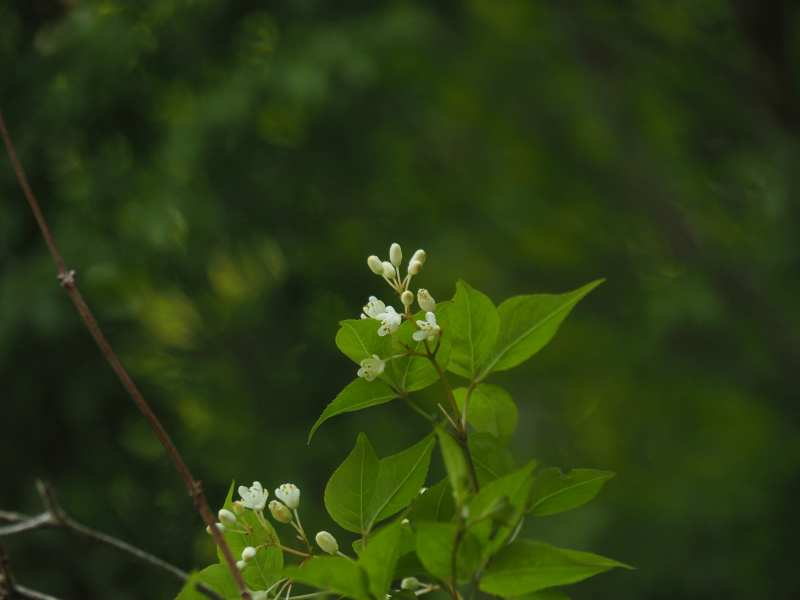 P5054586