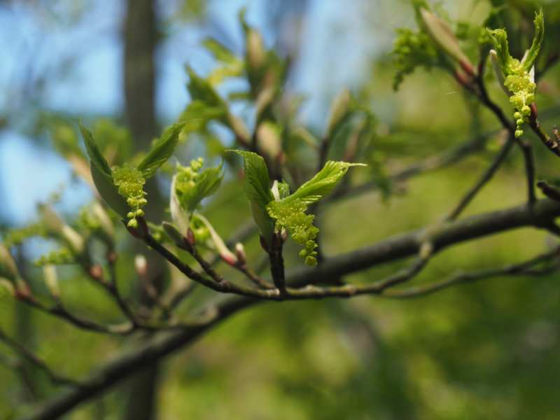 P5054587
