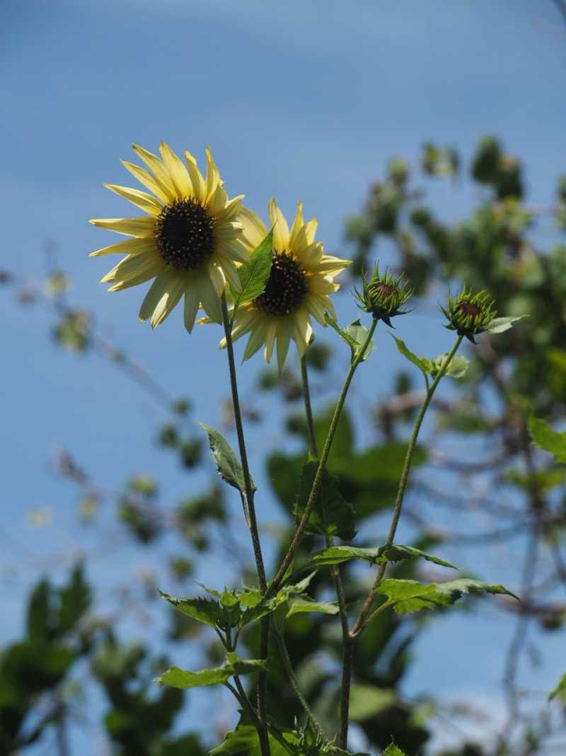P7167759