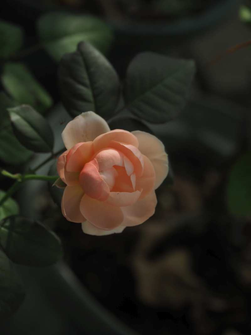 P7177778