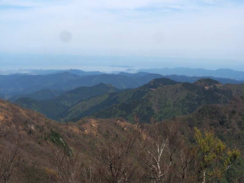 P5054831