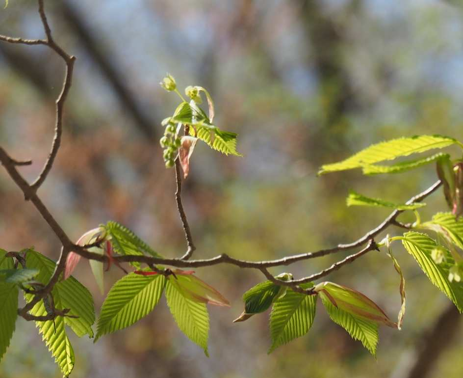 P5054876