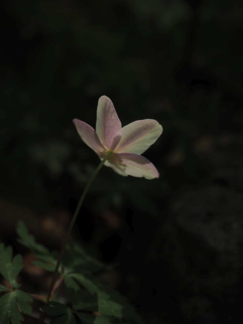 P5054889
