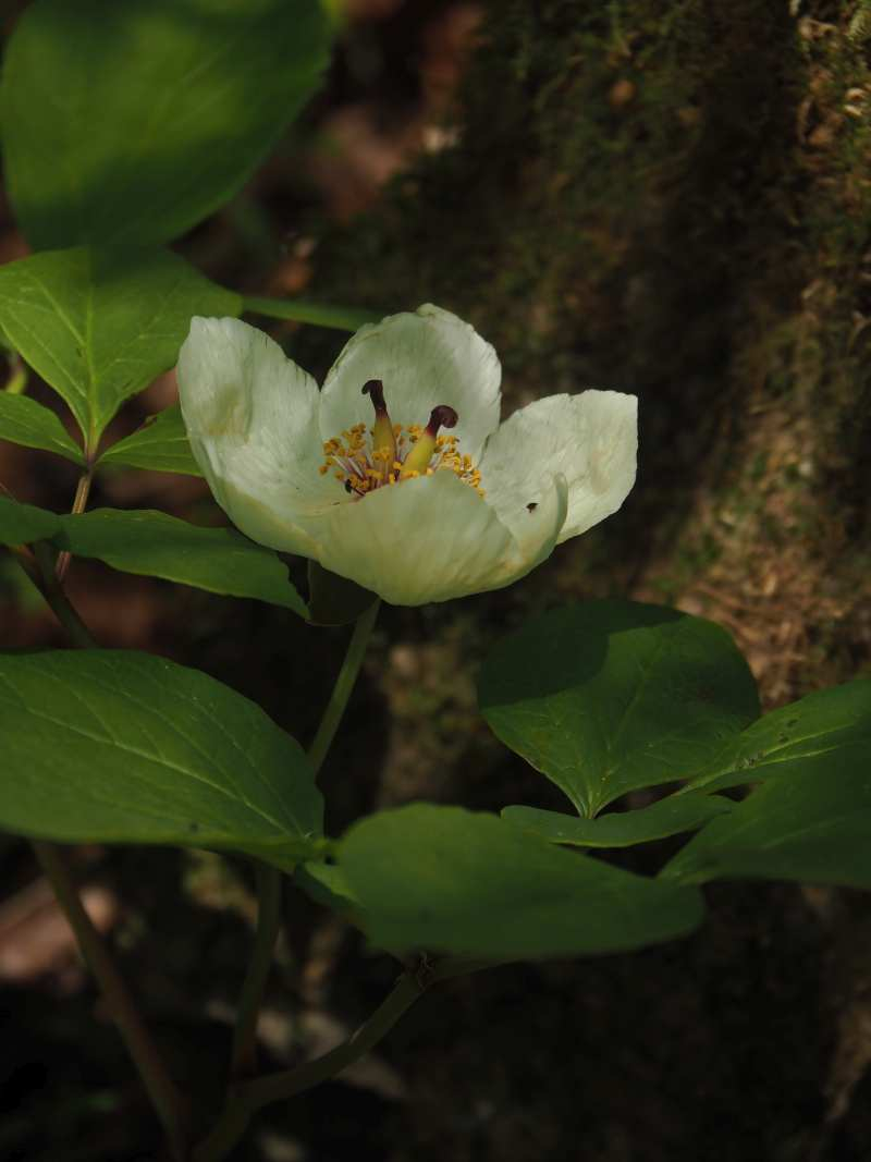 P5054909