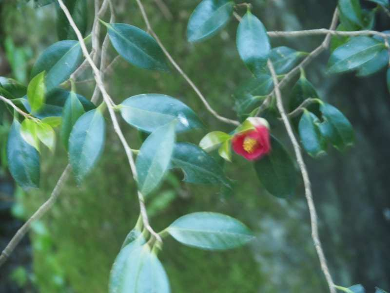 P5105089