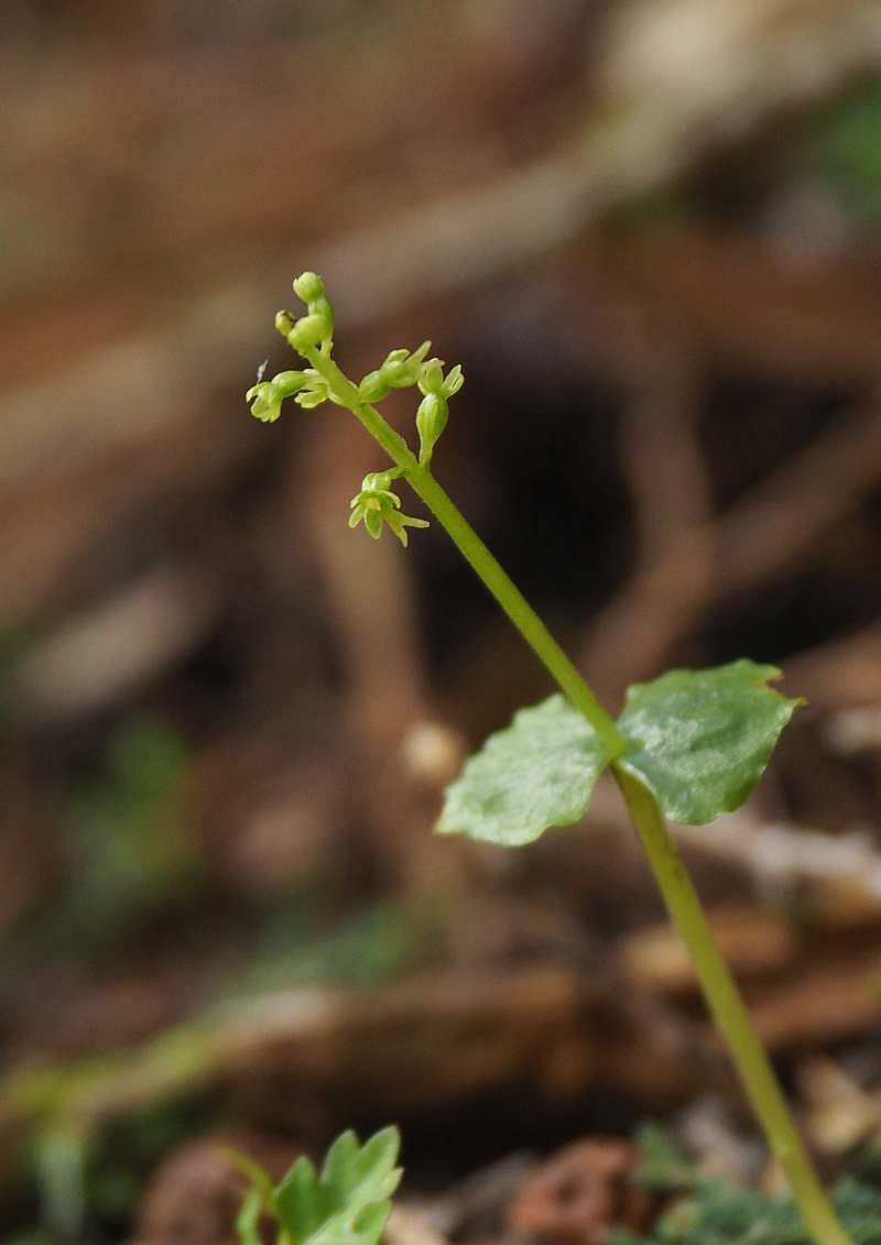 P5105469