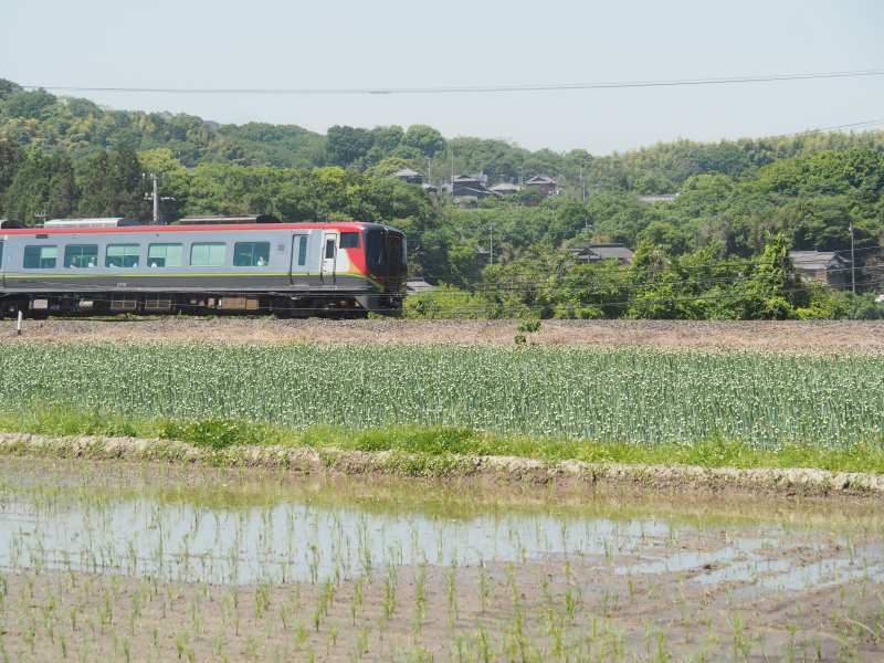 P5175774 P5175774