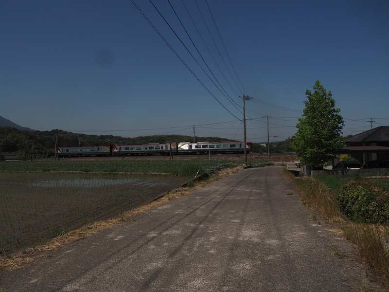 P5175775 P5175775