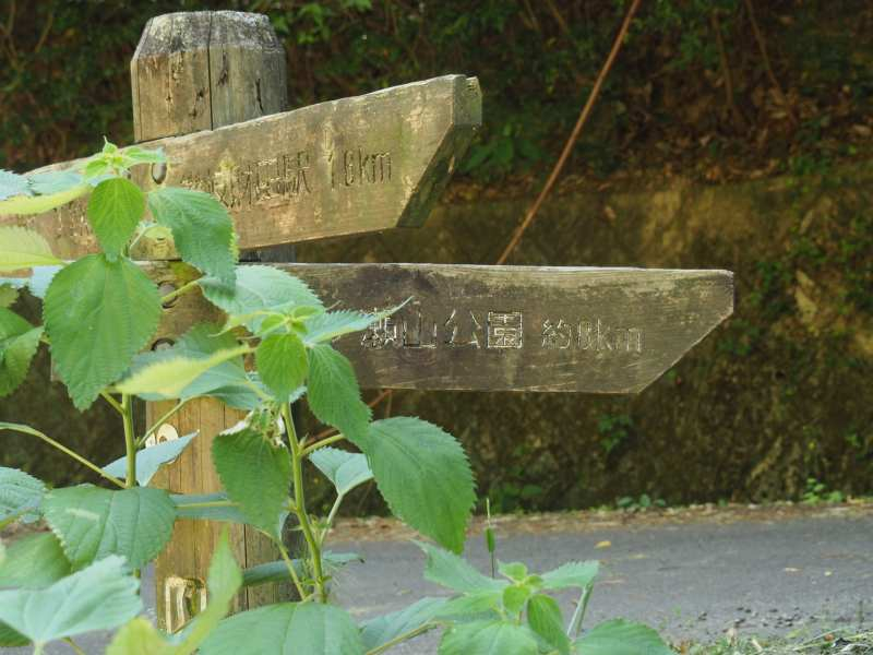 P5175781