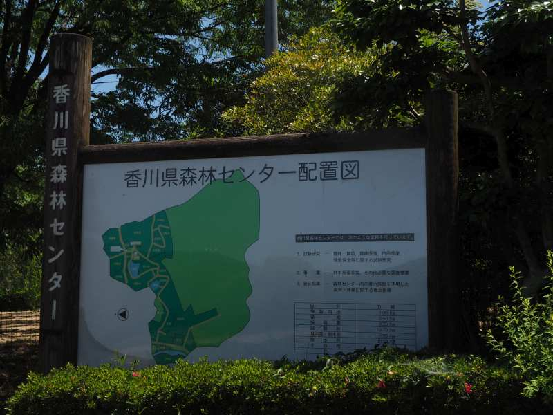 P5175802 P5175802