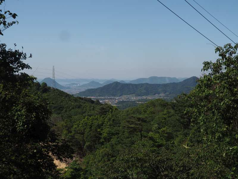 P5175885
