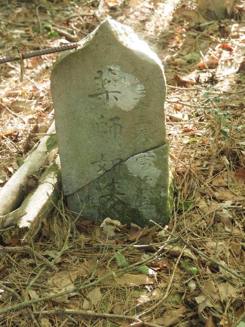 P5175938