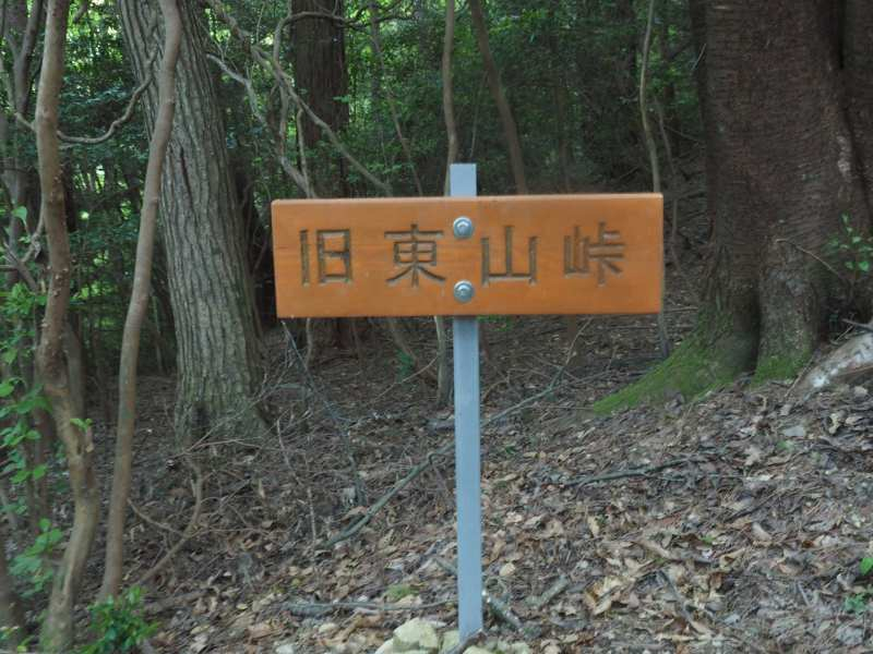P5175950