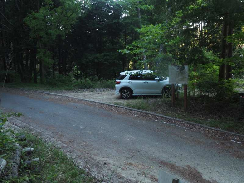 P5175954