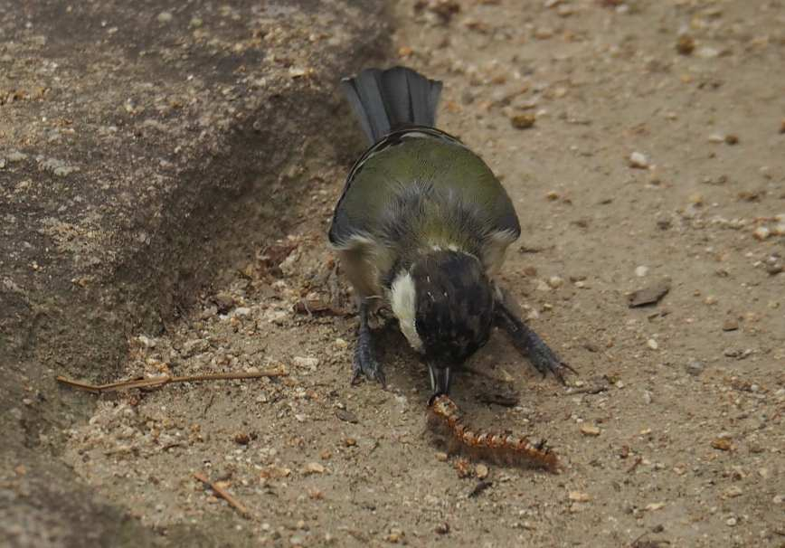 P1019248