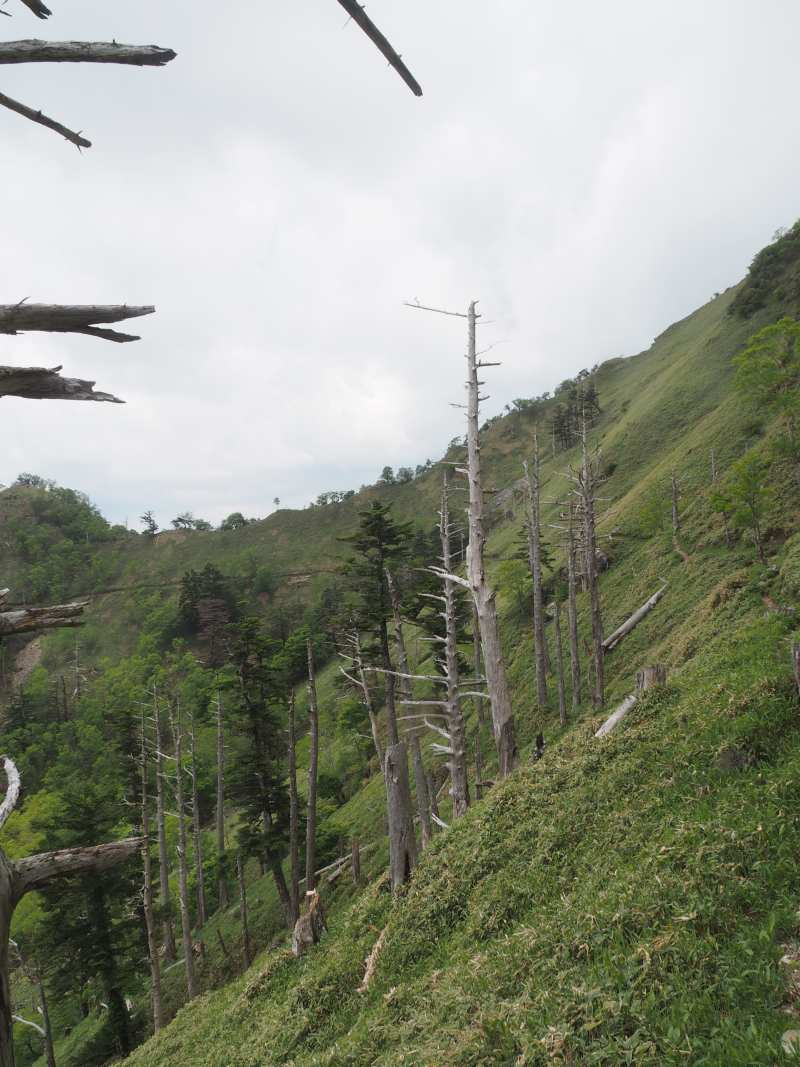 P6136681