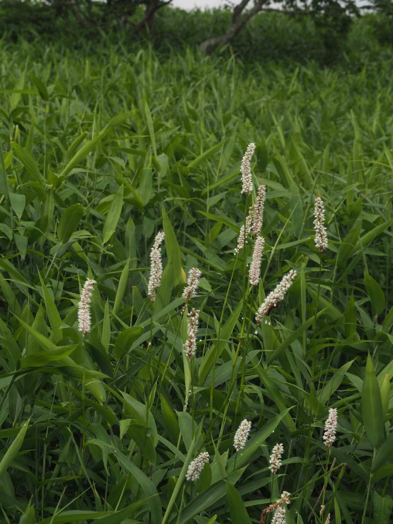 P6297116