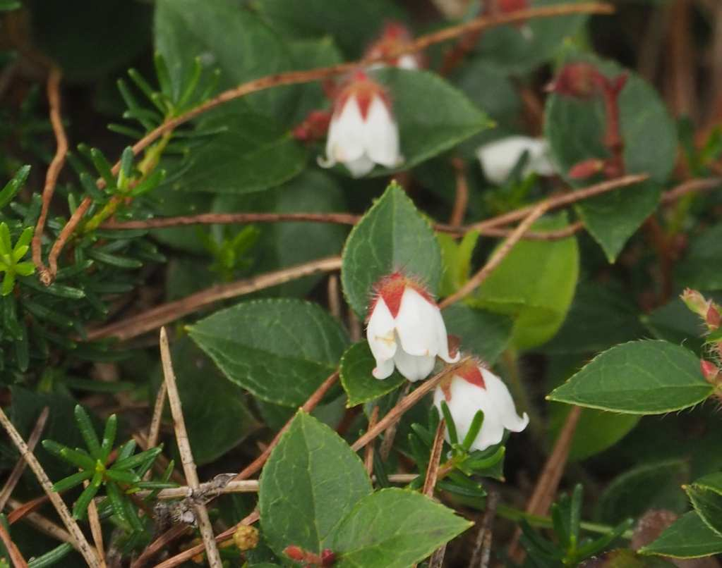 P8309451
