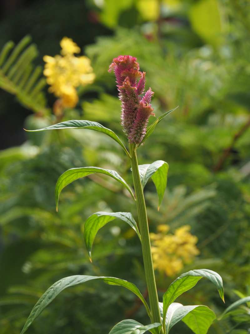 P8319505