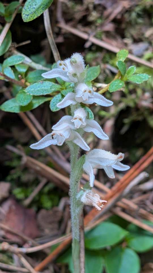 Pxl_20260830_014502151mp